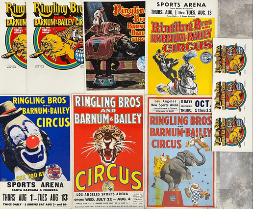 Circus - Exquisite Dark Curio