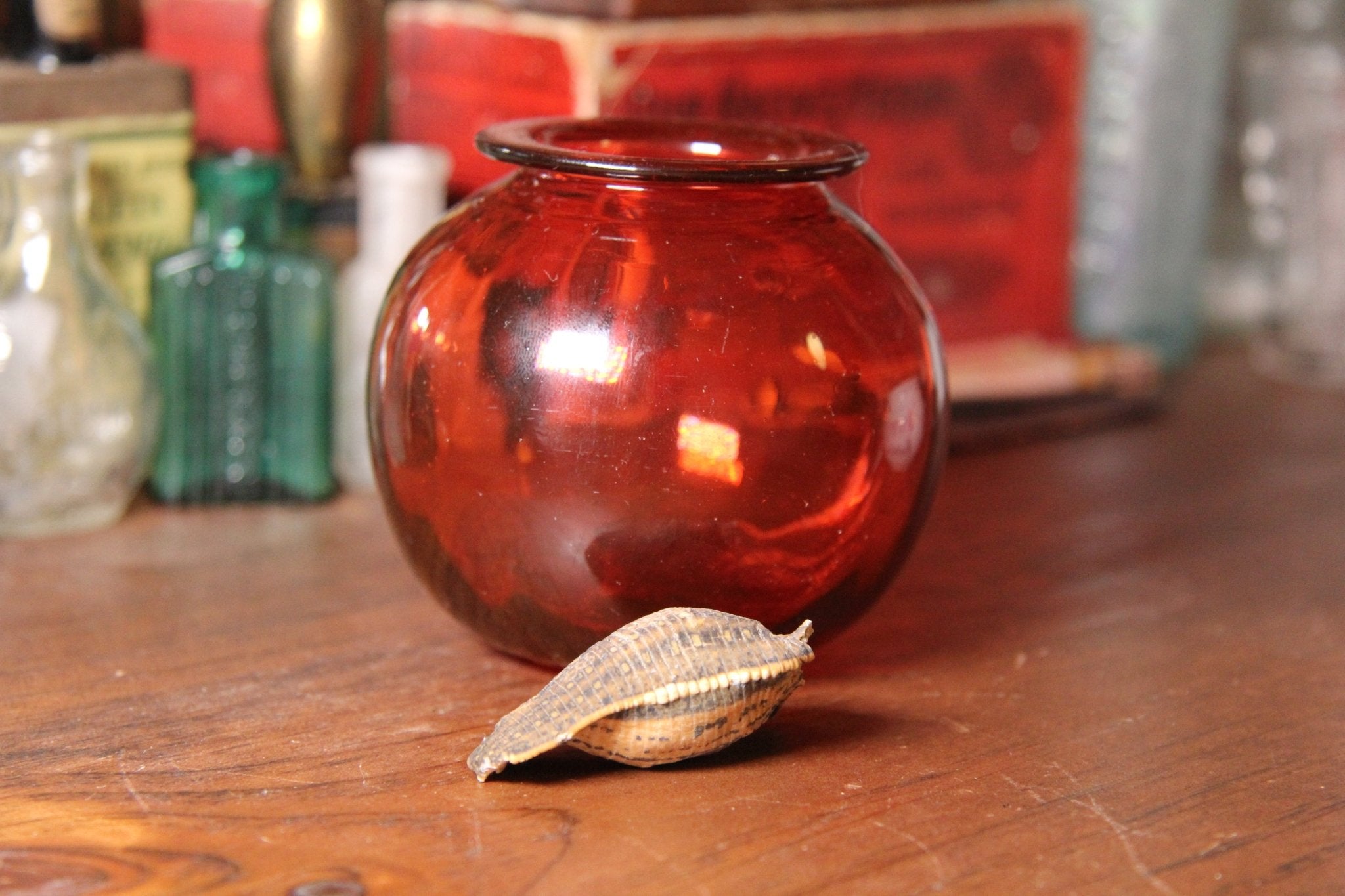 19th Century Blown Glass Leech Pot, Cranberry with Mummified Leech - Exquisite Dark Curio