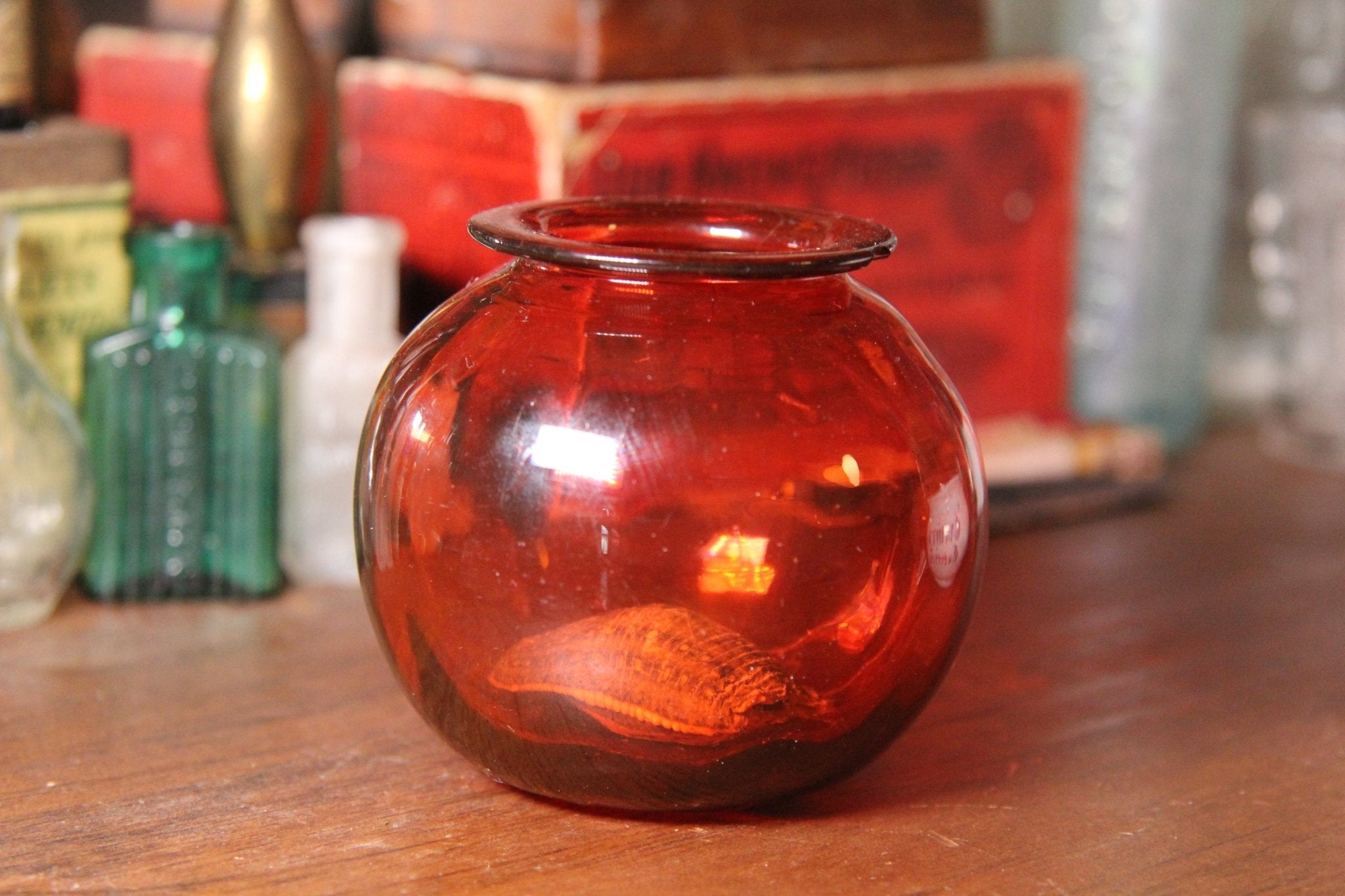 19th Century Blown Glass Leech Pot, Cranberry with Mummified Leech - Exquisite Dark Curio