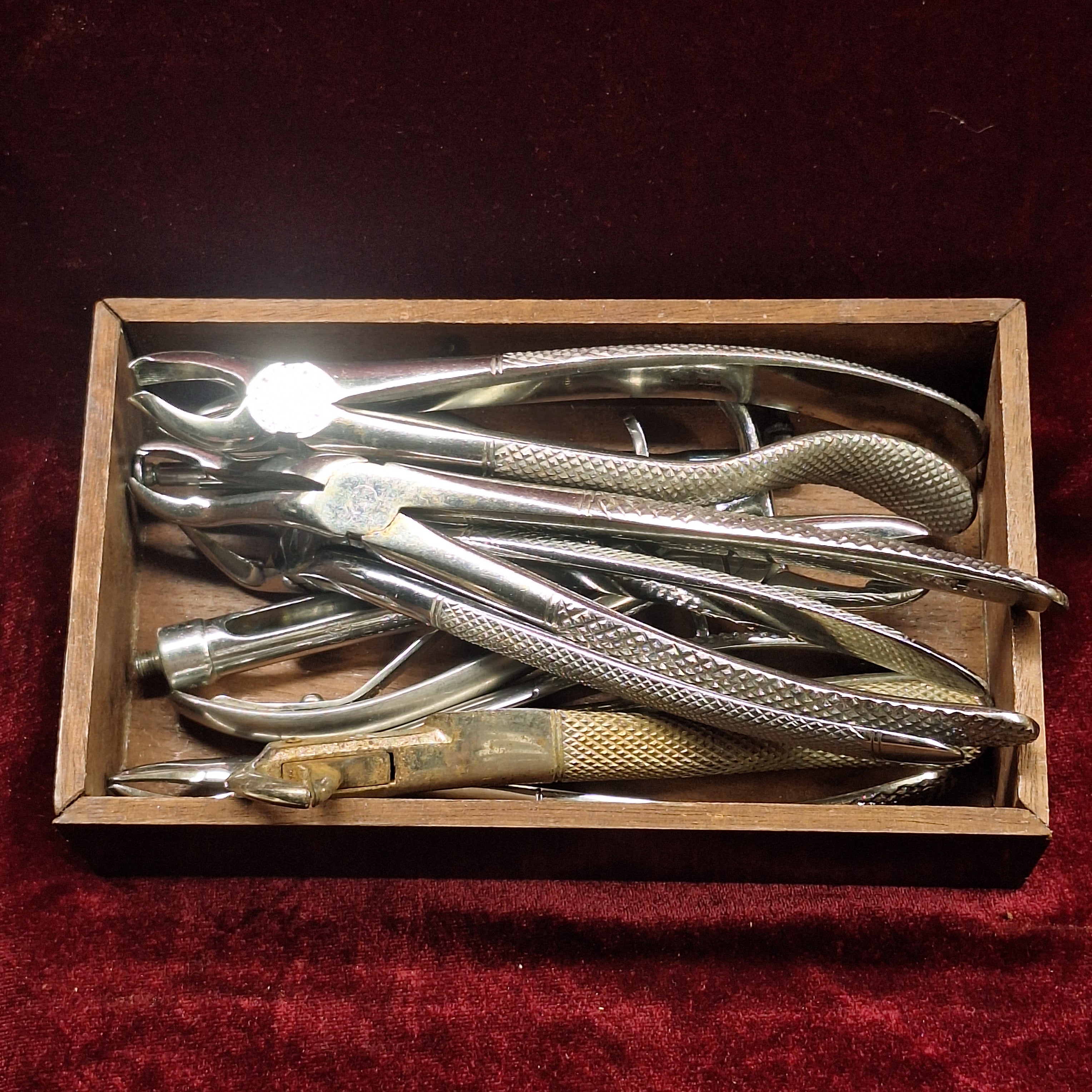 Vintage Dental Instrument Instant Collection - 8 Pieces