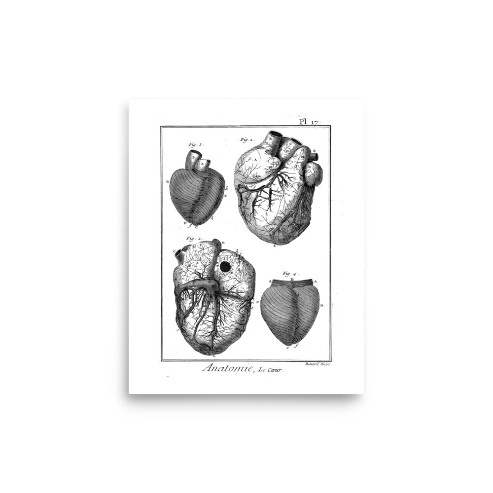Anatomie Le Coer Poster - Exquisite Dark Curio