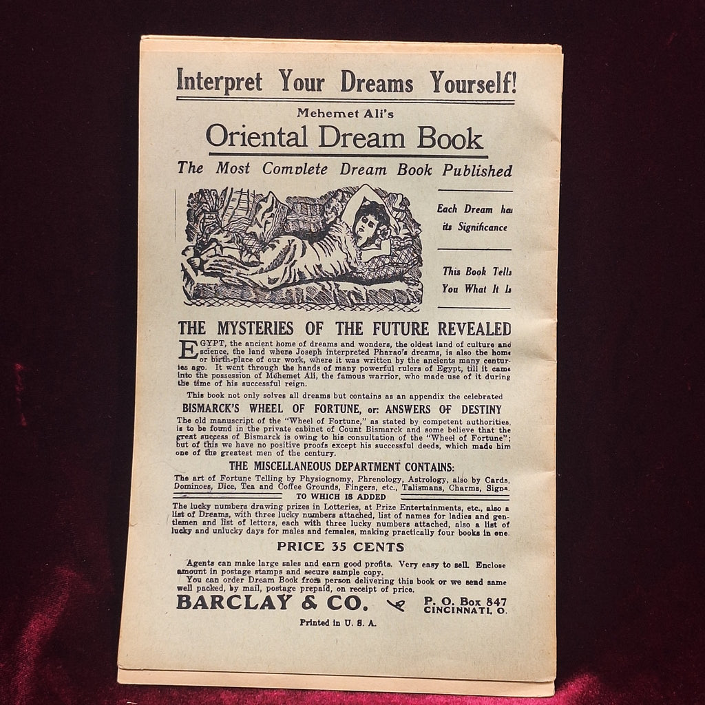 Antique Turkish Method Advertisement and Order Book "The Sultans and Harems" - Exquisite Dark Curio