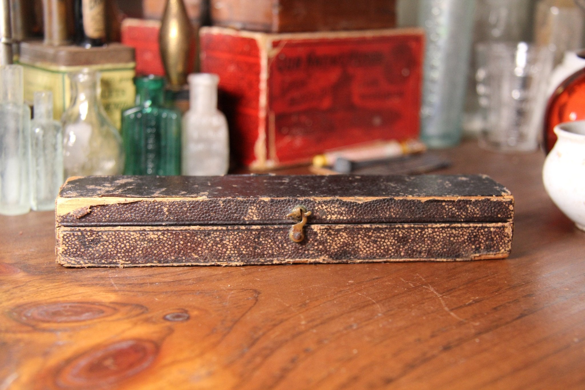 Antique Weiss Bone and Stainless Scalpel Cased Set - Exquisite Dark Curio