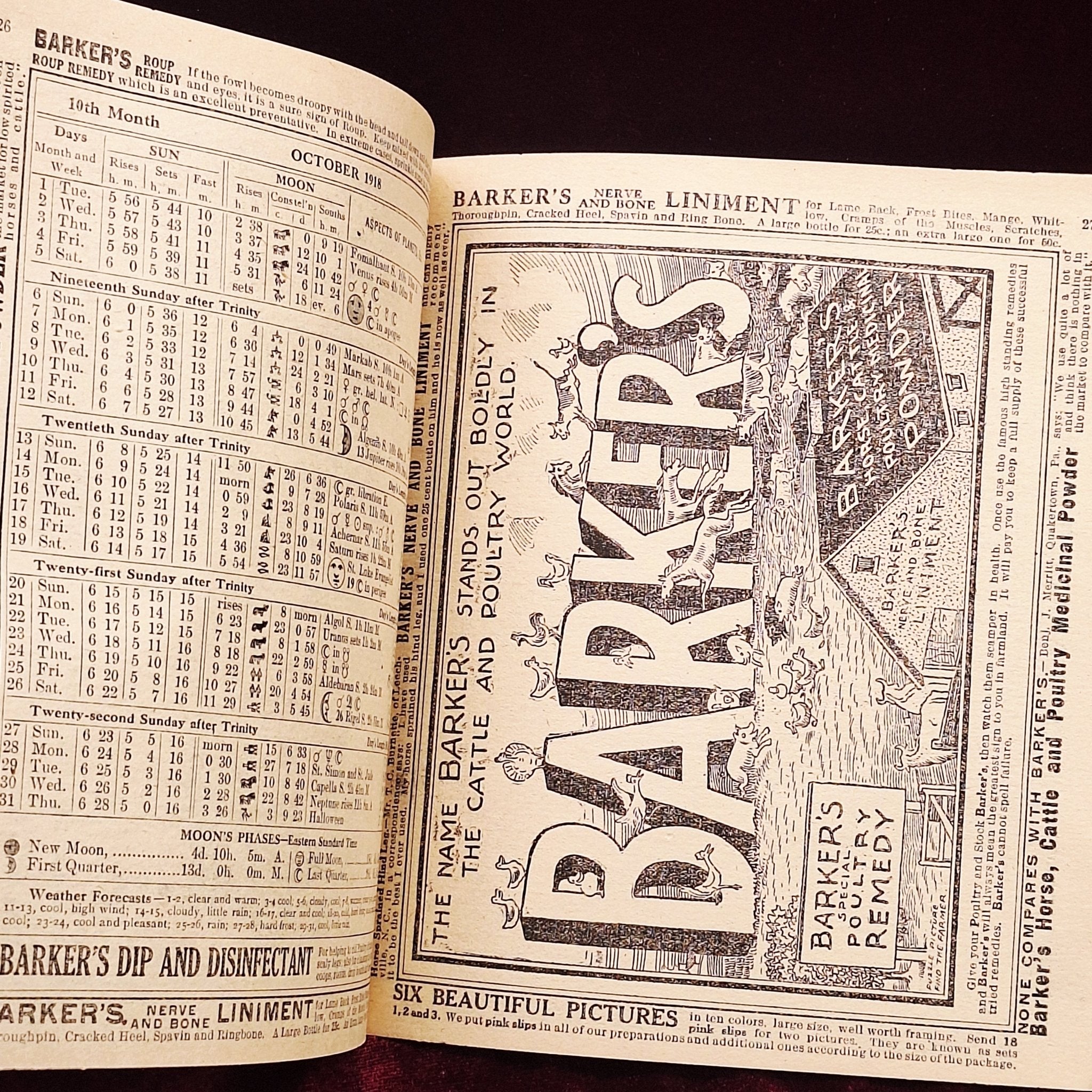 c1918 Barkers Liniment Almanac & Cookbook - Medicine Advertisements - Exquisite Dark Curio