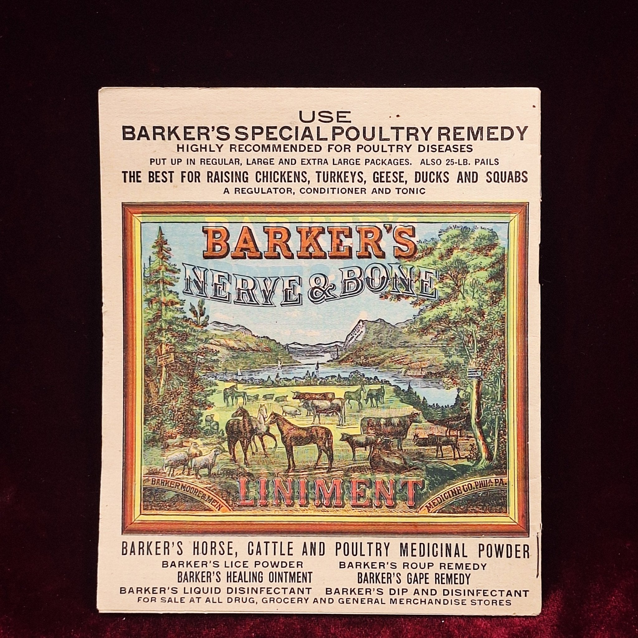 c1918 Barkers Liniment Almanac & Cookbook - Medicine Advertisements - Exquisite Dark Curio