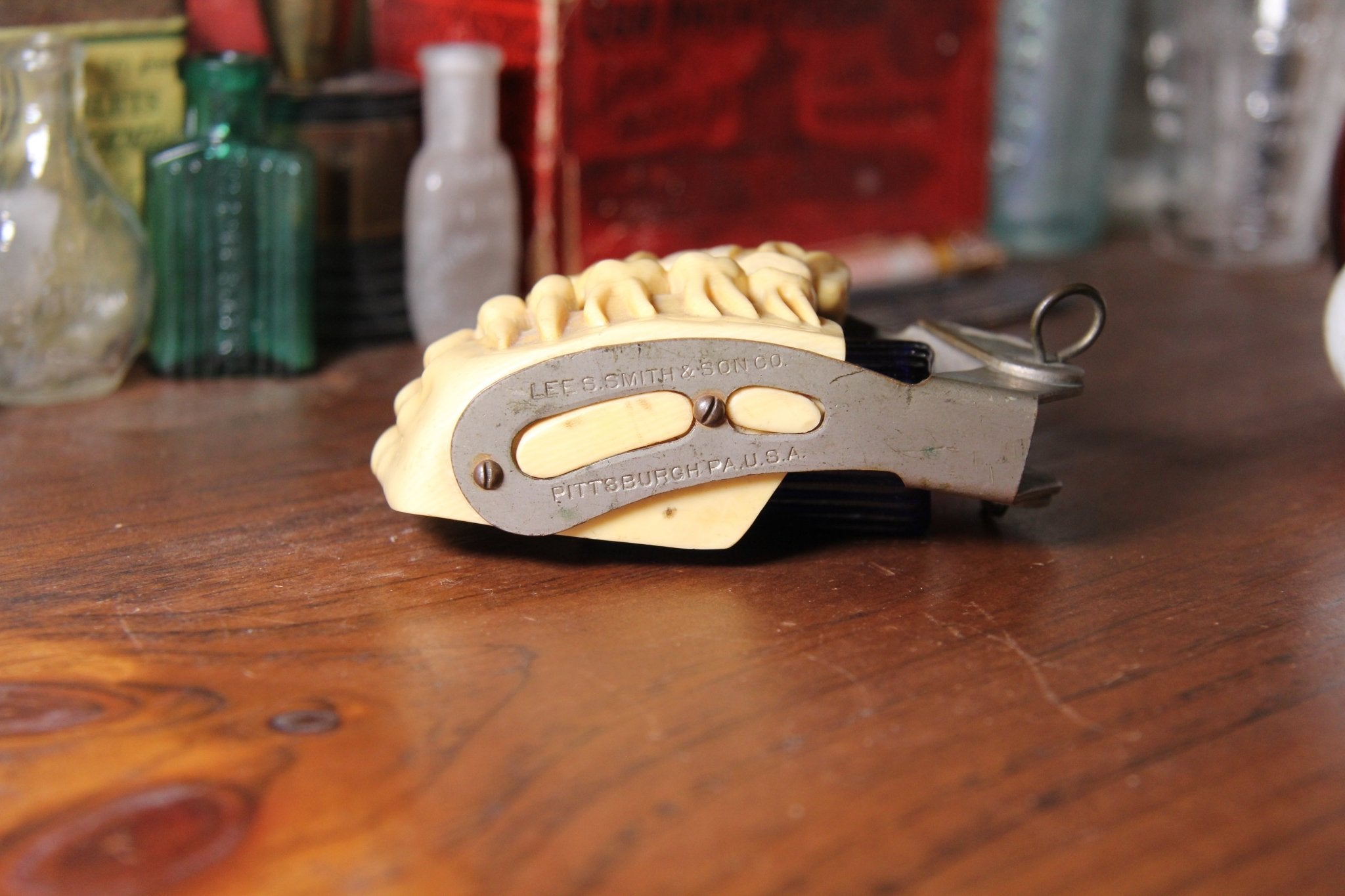 Early 1900's Dental Typodont Lee Smith & Sons - Exquisite Dark Curio