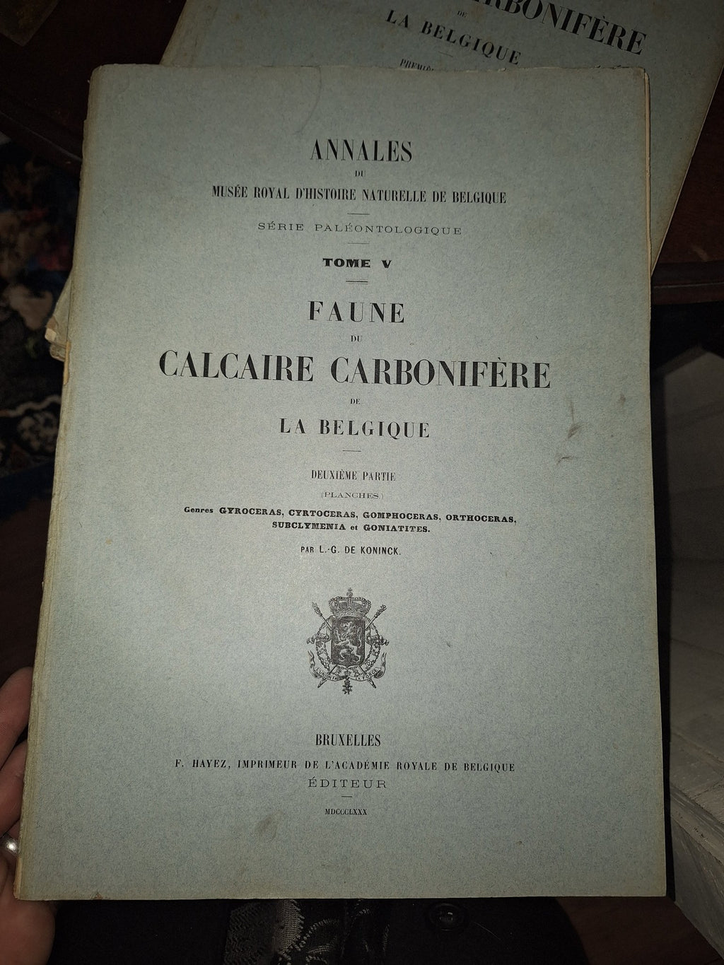 Faune du Calcaire Carbonifere de la Belgique Book V 1st ed 1880, 2 Books - Exquisite Dark Curio