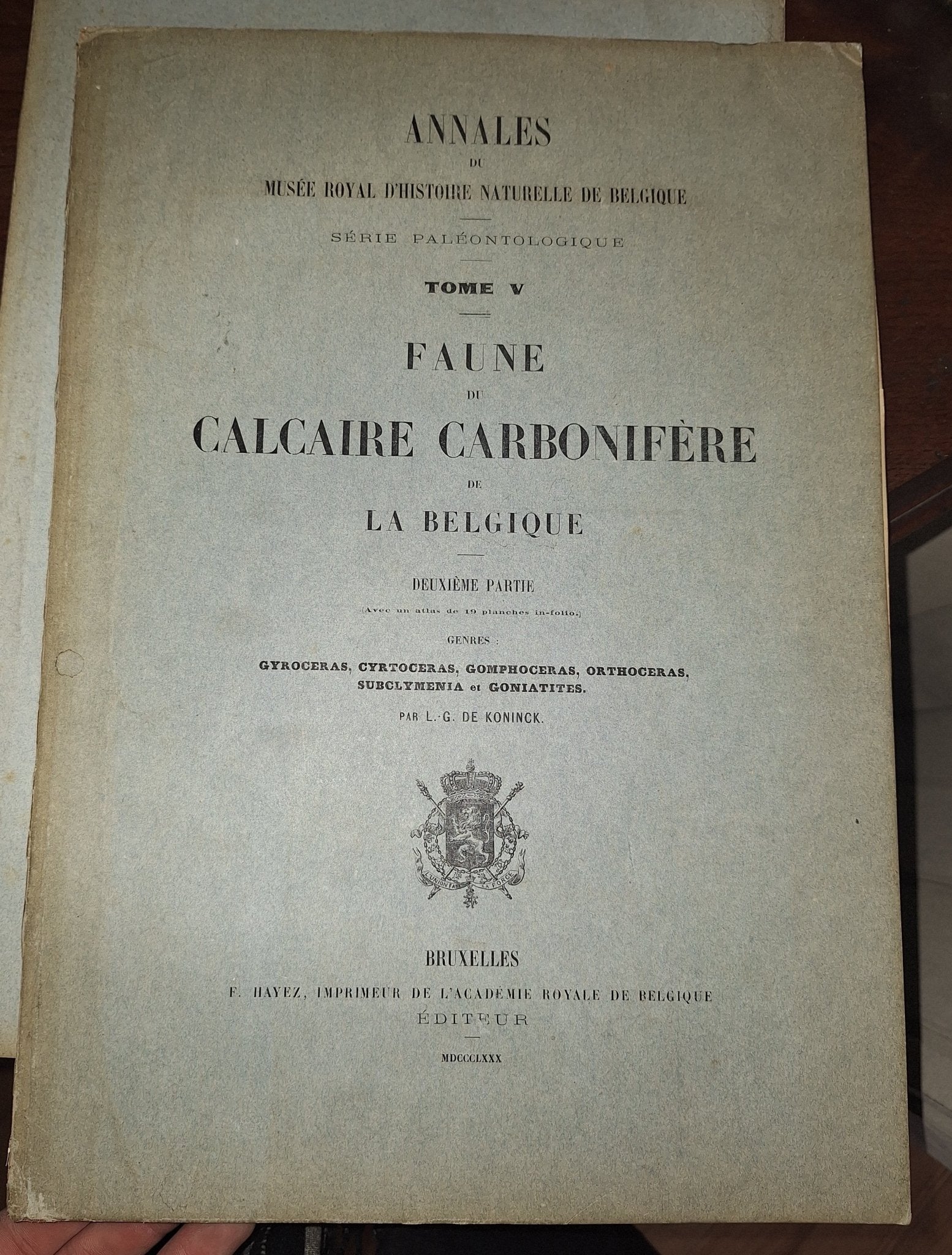 Faune du Calcaire Carbonifere de la Belgique Book V 1st ed 1880, 2 Books - Exquisite Dark Curio