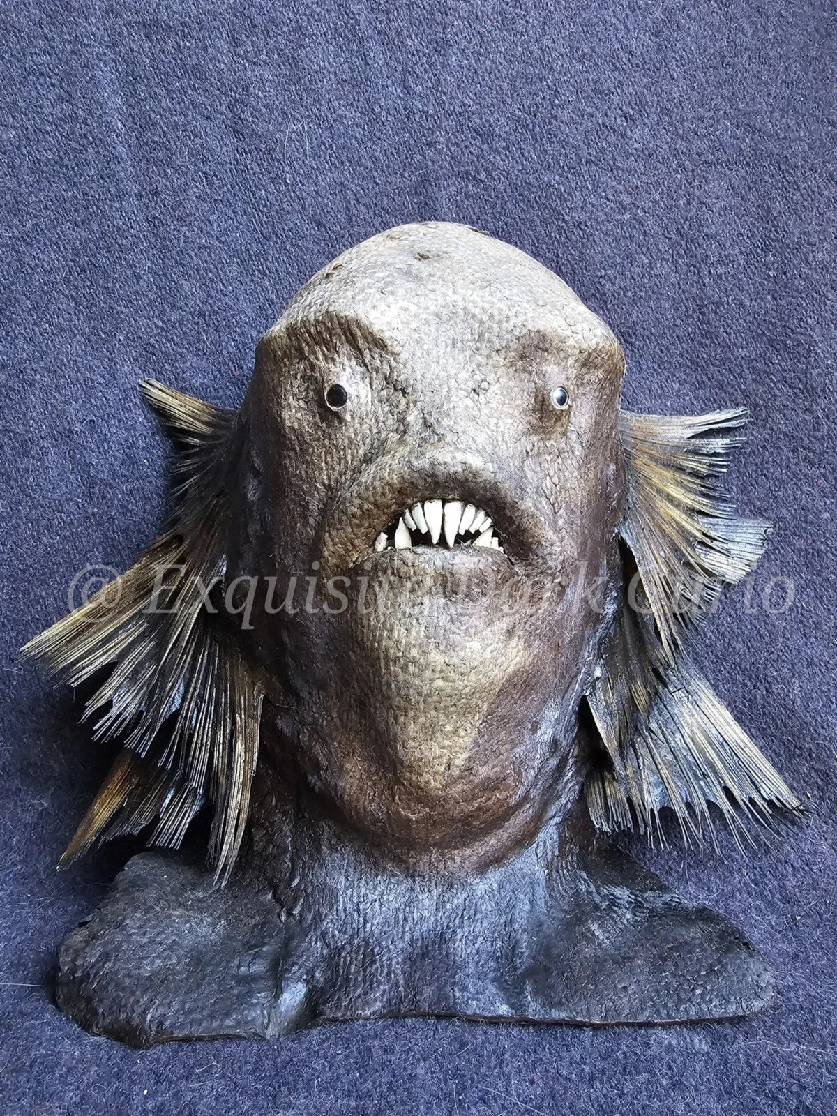 Juan Cabana Fish Man Head Gaff Sideshow - Mixed Media Fish - Skin Oddity - Exquisite Dark Curio
