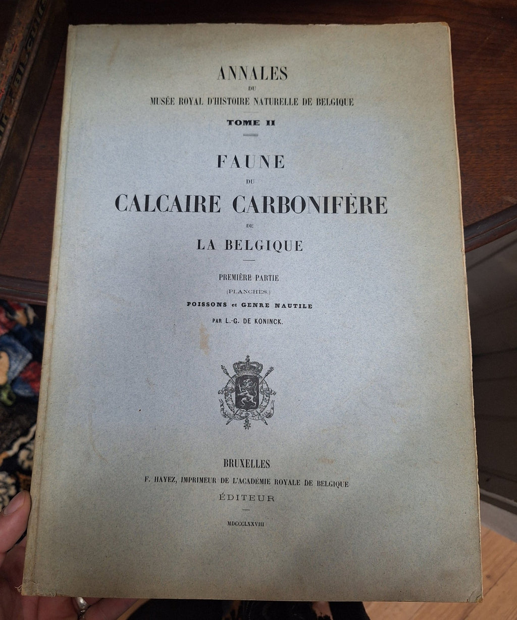 L G DE KONINCK / Faune du Calcaire Carbonifere de la Belgique Book II 1st 1878 - Exquisite Dark Curio
