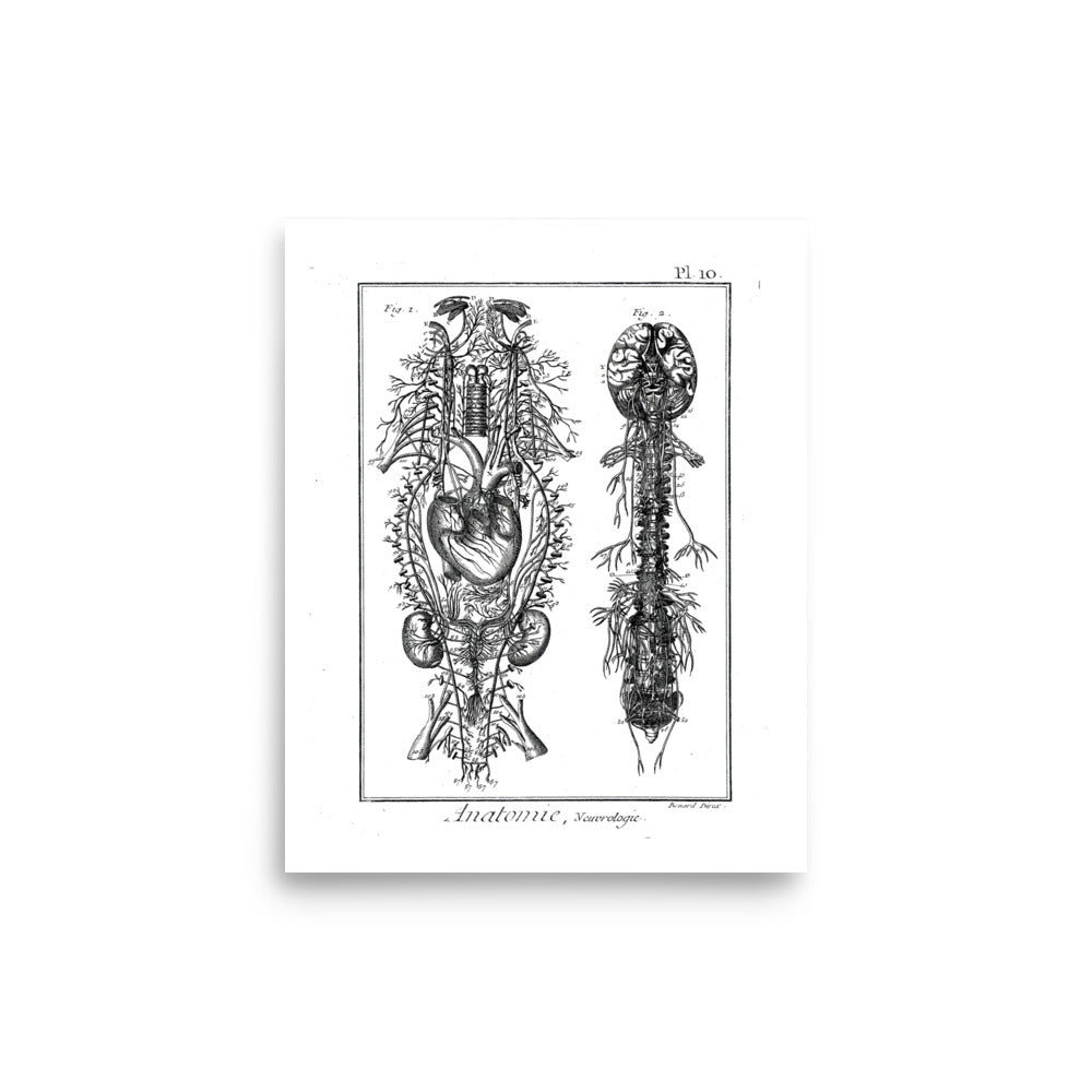 Neurologie Poster - Exquisite Dark Curio