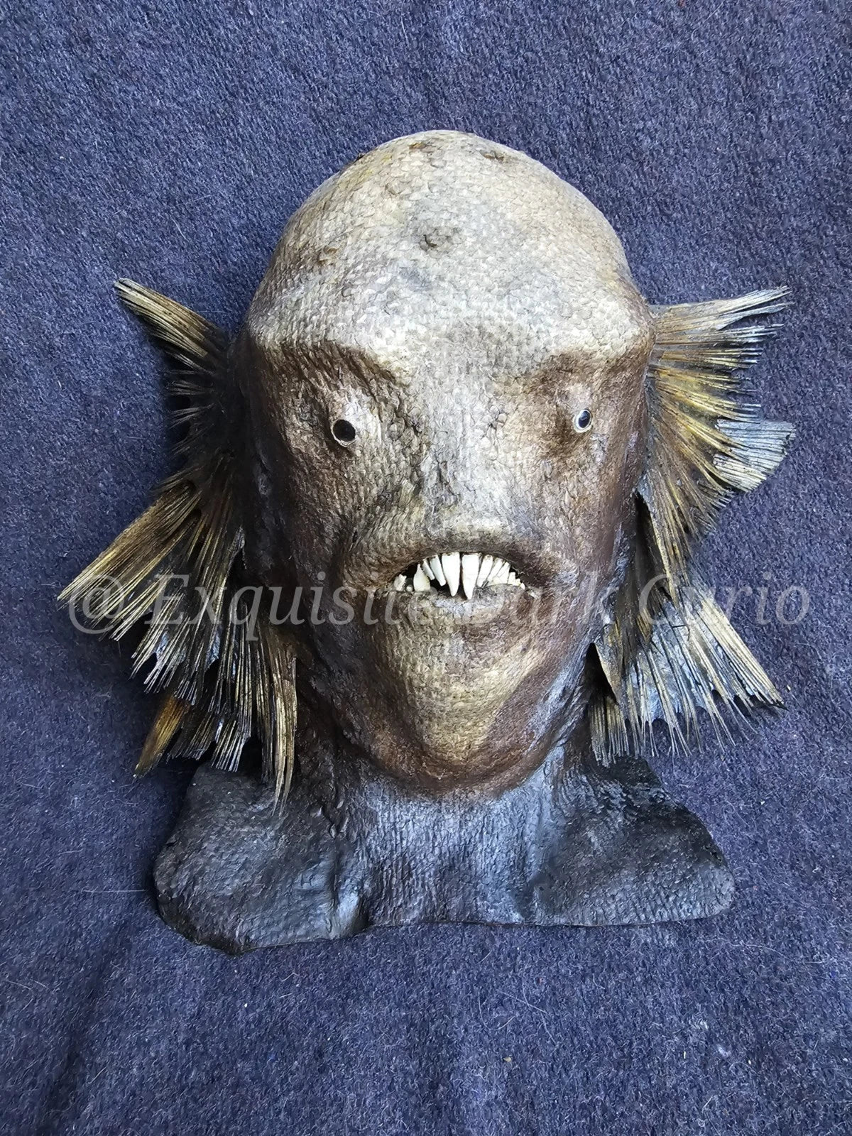 Juan Cabana Fish Man Head Gaff Sideshow - Mixed Media Fish-Skin Oddity