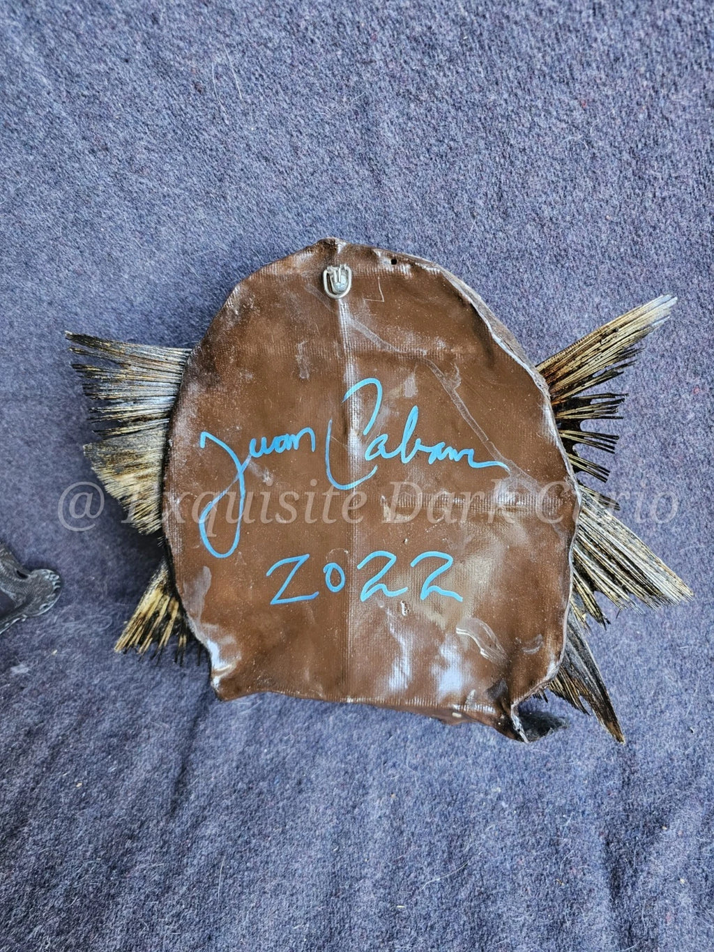 Juan Cabana Fish Man Head Gaff Sideshow - Mixed Media Fish-Skin Oddity