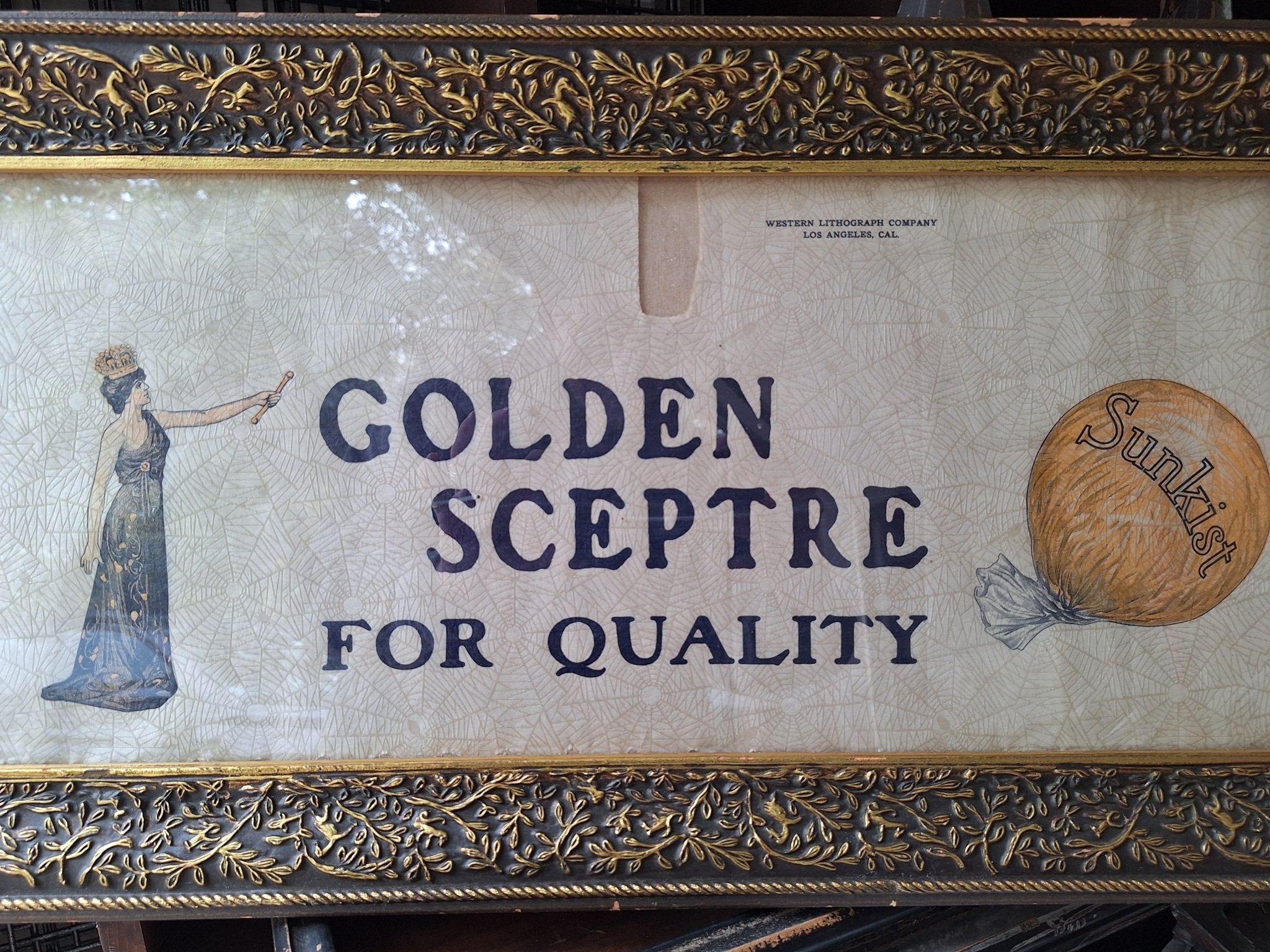 Spider Webbed Golden Sceptre Sunkist 1920's Advertisement Framed - Exquisite Dark Curio